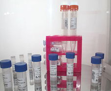 引進美國生物工程前沿技術，打造高科技生物制品研發新生態