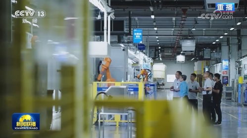 以生物科技研發為引擎，加速新質生產力發展，夯實高質量發展根基