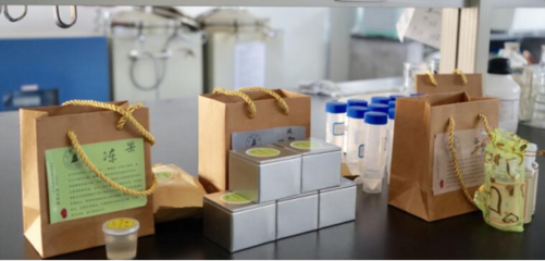 科技下鄉 生物科技為鄉村振興插上智慧“翅膀”